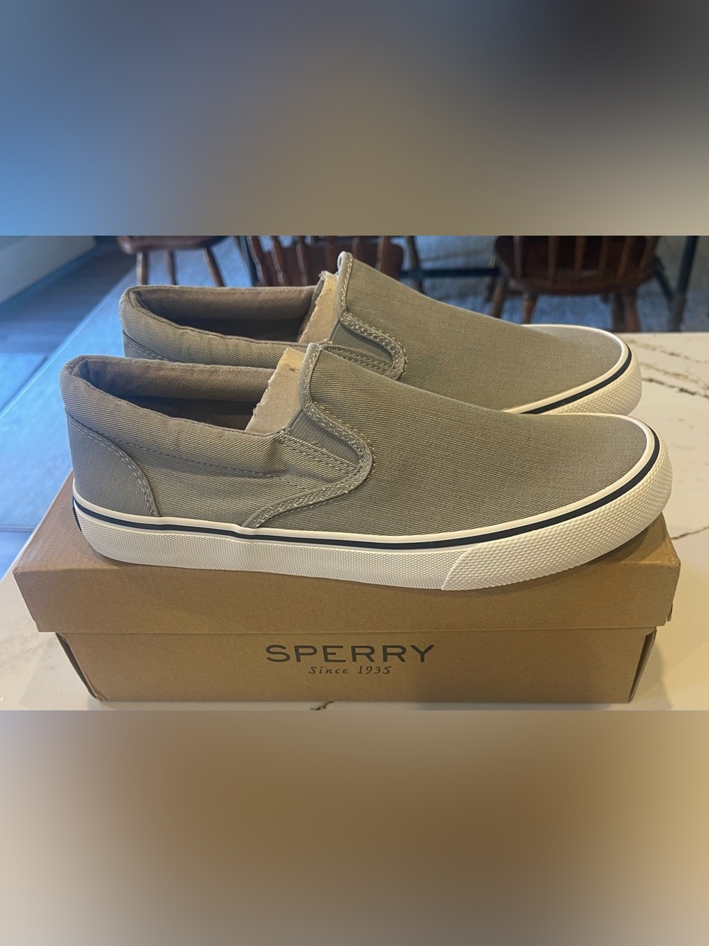 Sperry Men's Striper II Slip-On Canvas Boat Shoes in Grey